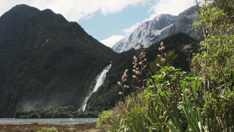 Ein-Kolossaler-Wasserfall-Stürzt-In-Kaskaden-Die-Schroffe-Felswand-Des-Milford-Sound-Hinab,-Im-Vordergrund-Wiegt-Sich-Das-Gras-Sanft