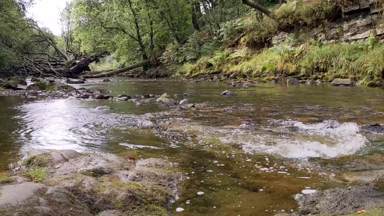 Fiume che porta alla Cascata Sgwd Clun-Gwyn con un albero caduto nelle Brecon Beacons, Galles, Regno Unito 4K