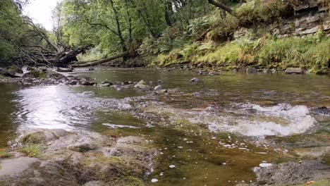 river leading to sgwd clun-gwyn waterfall with fallen tree in brecon beacons wales uk 4k