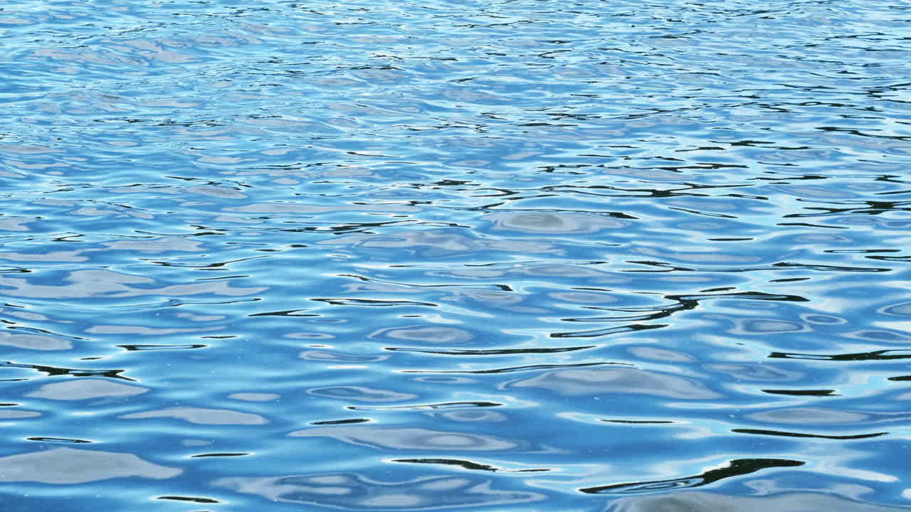 물 표면의 파동