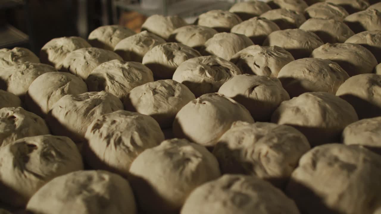 Animation of rows of fresh prepared rolls ready to bake