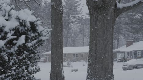 a january whiteout storm in michigan neighborhood