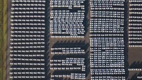 aerial top down ascend over vast and full parking lot area