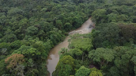 Aerial-view-river-in-tropical-amazonic-green-rainforest,-4K