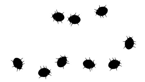 swarm of beetles, cg animated silhouettes on white, seamless loop