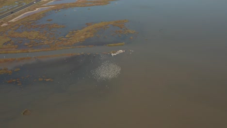 aerial video of delta water in northern california