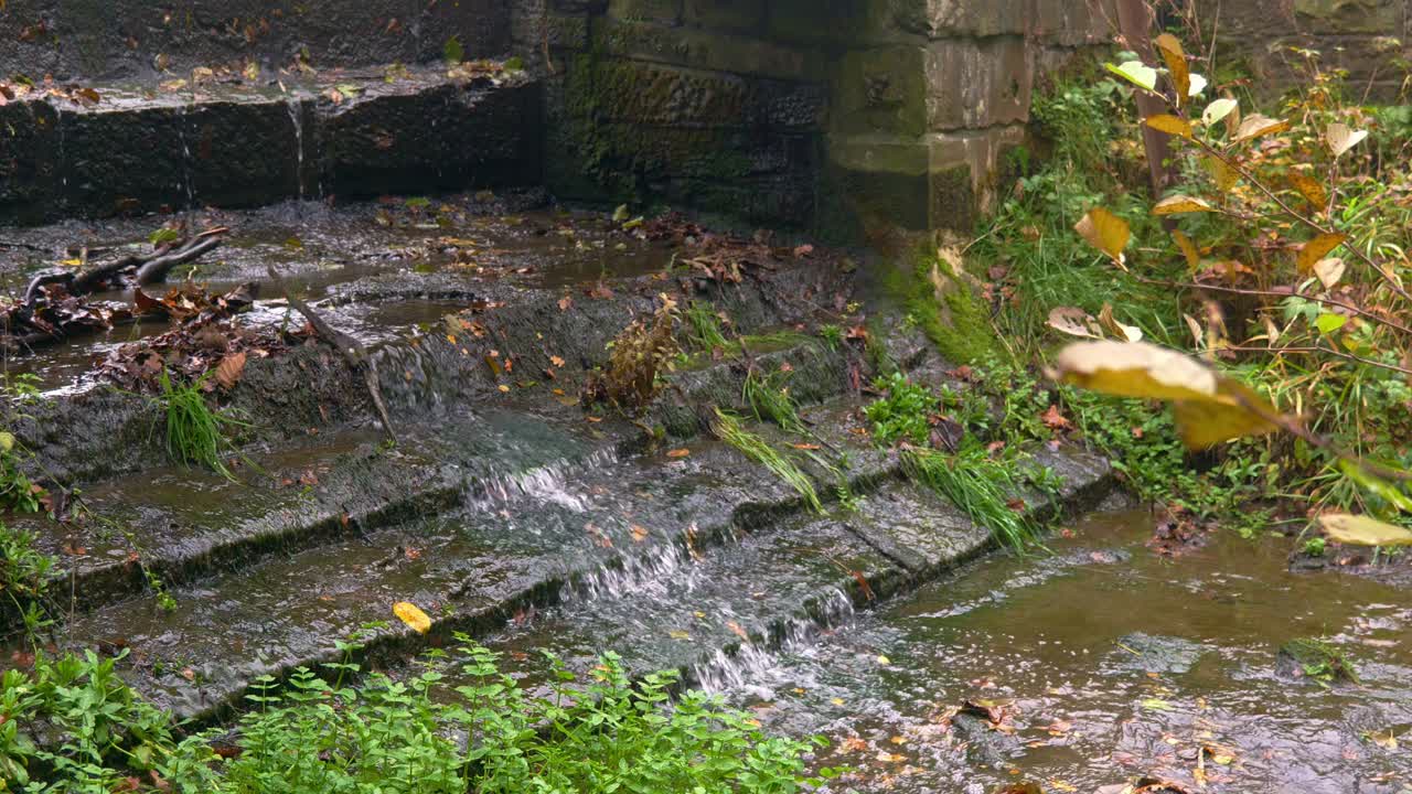 Water flowing over stepped stone blocks, surrounded by mosses, grass, and fallen leaves in autumn