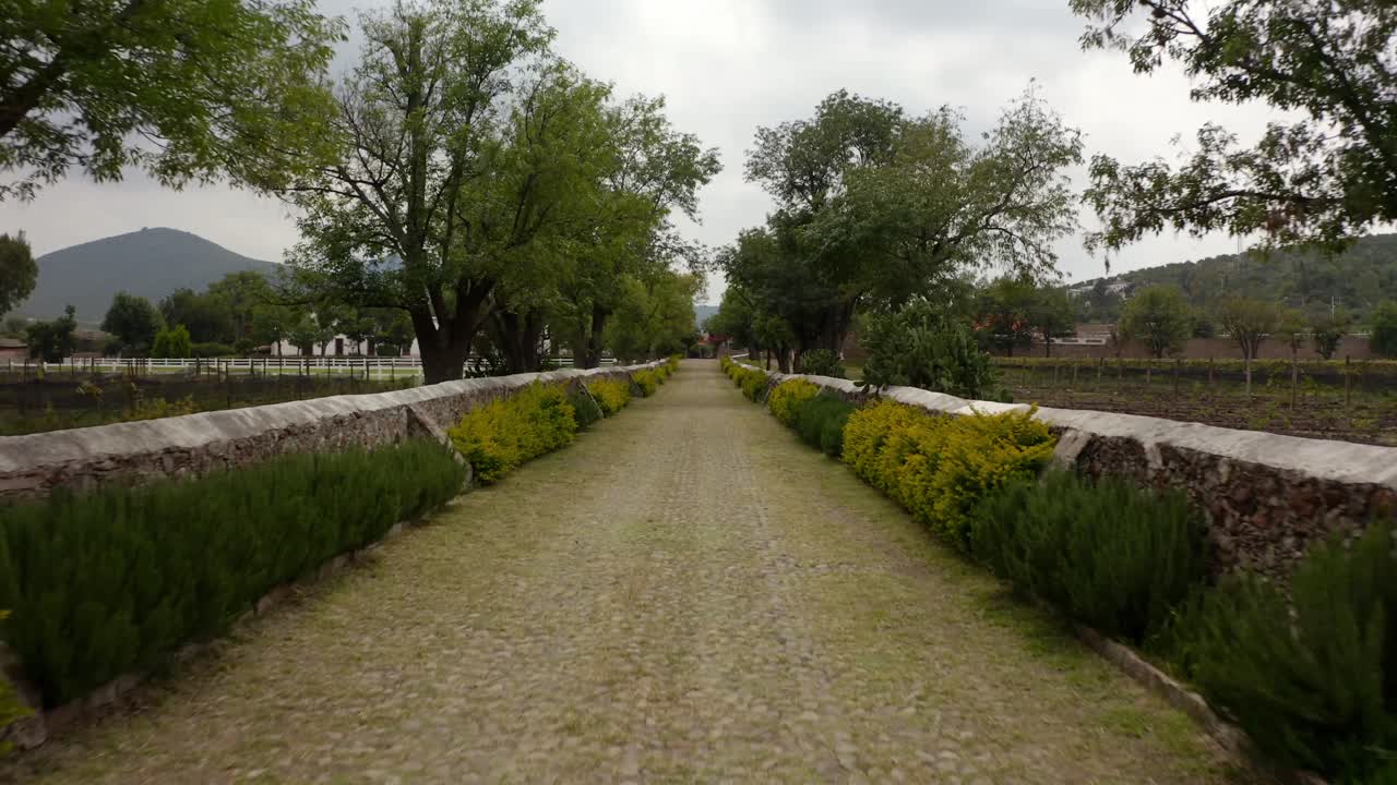 DRONE DOLLY IN AT A ROAD LEADING TO A VINEYARD IN QUERETARO