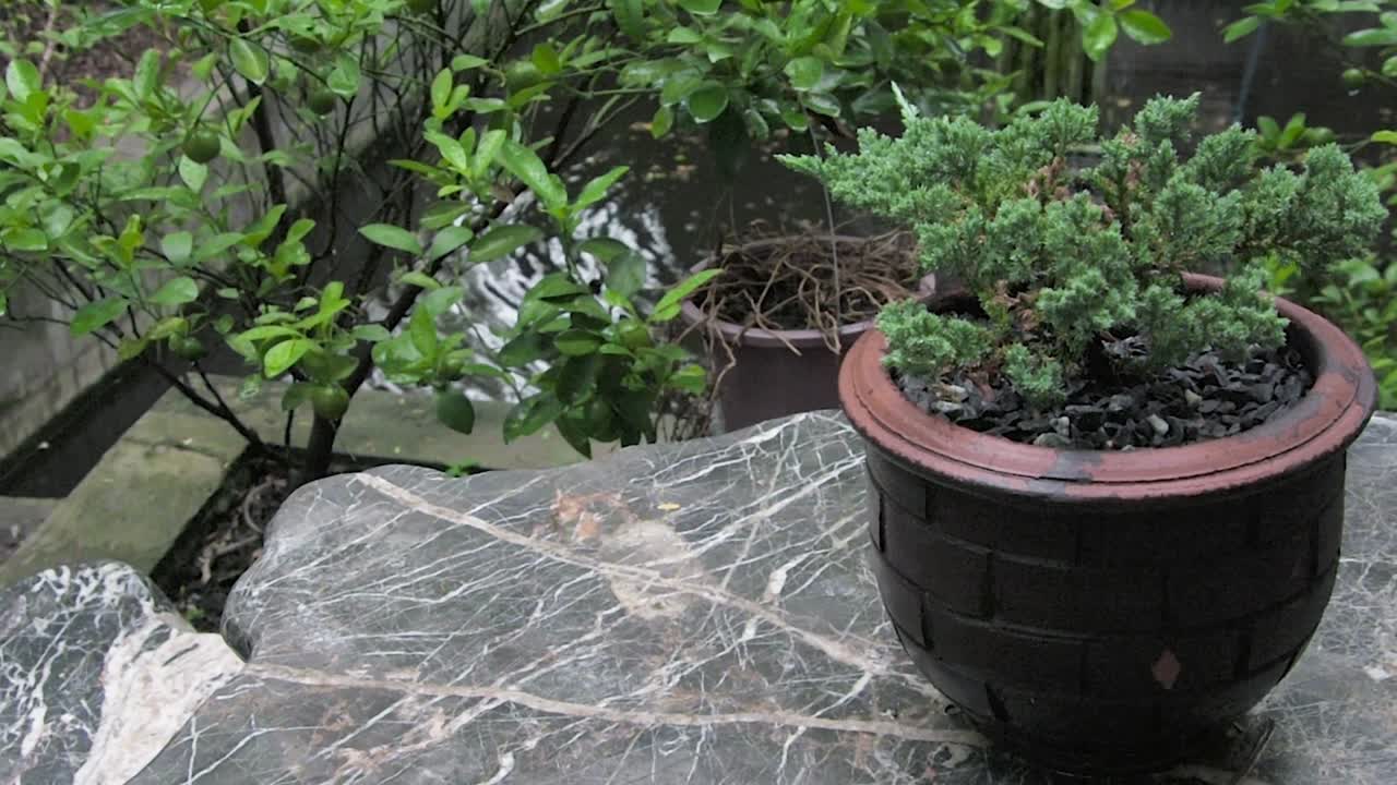florero en la mesa de mármol con fondo de agua borroso con resolución de 4k.