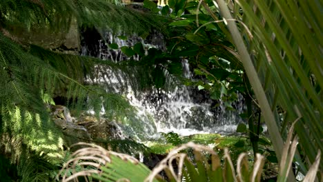 Water-Seen-Cascading-Down-Rocks-Viewed-Through-Tropical-Rainforest-Tree-Leaves