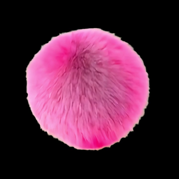 Pink Furry Pom-Pom Rotating Against a Black Background