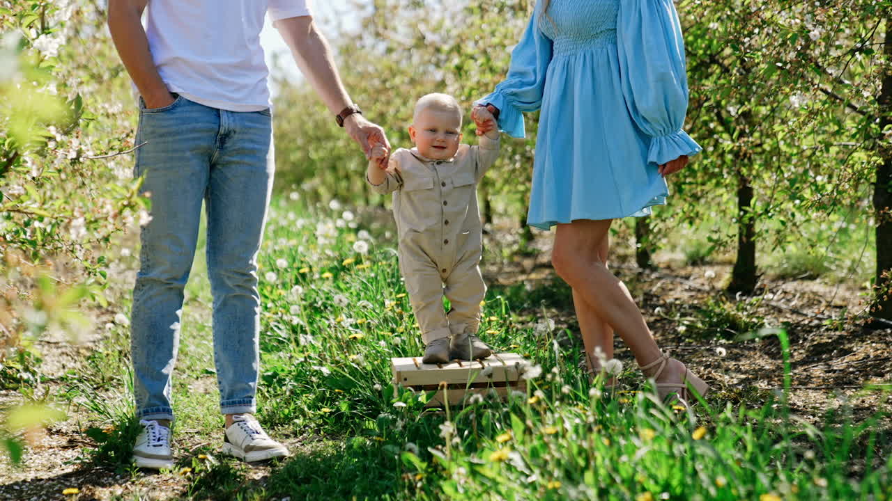 Little cute baby boy with blond hair stands on the wooden box. Unrecognized parents hold the child by the hands. Garden in bloom at backdrop.