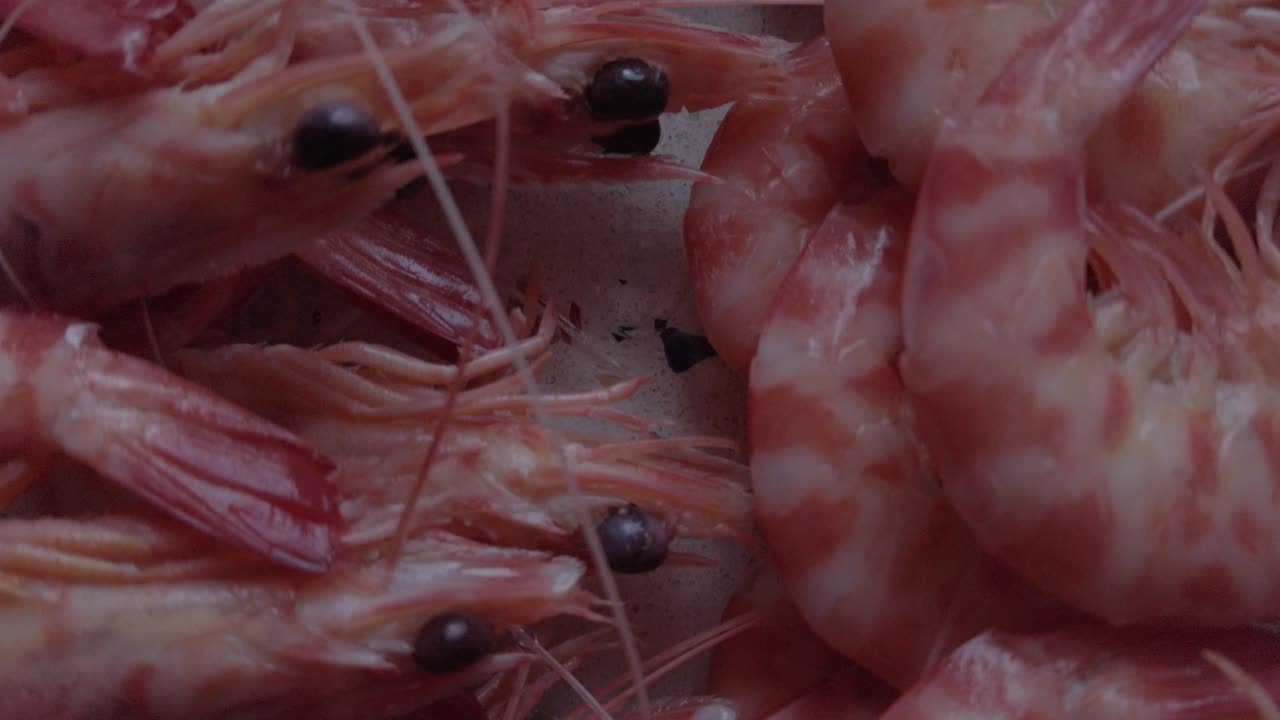 극단적인 근접 촬영, 눈과 껍질이 있는 전체 삶은 분홍색 새우