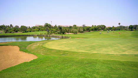 a beautiful golf course with green grass, trees, lake and feather grass on a sunny day