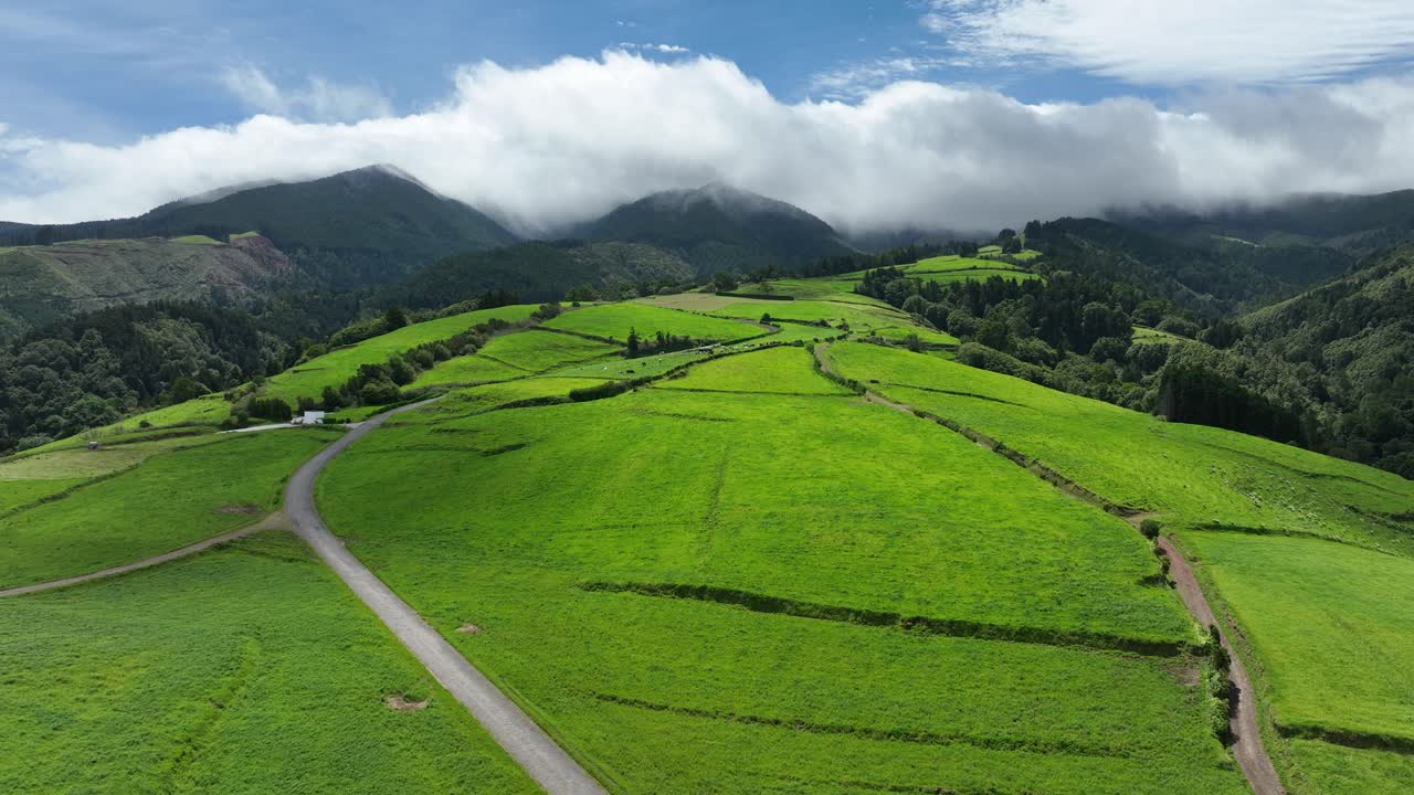 サンミゲル島で放牧される牛のいる美しい牧草地と山々の空撮