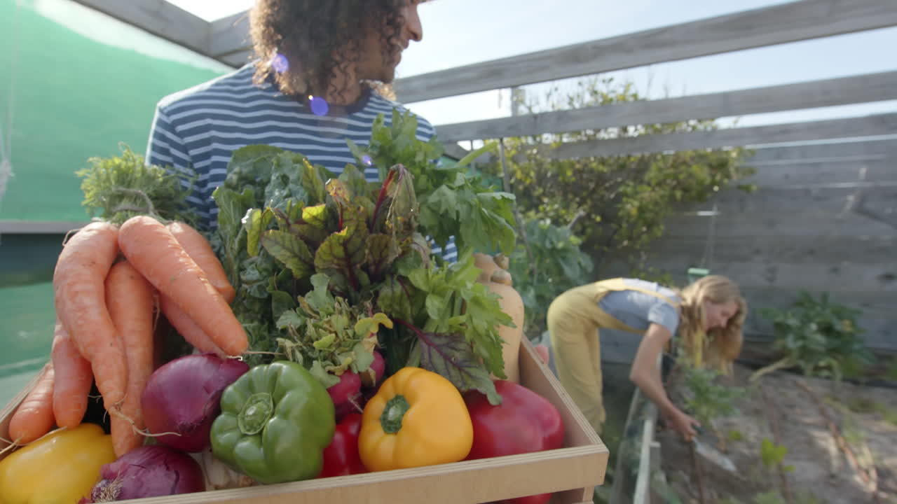 신선한 채소 바구니를 들고 정원에서 일하는 다양한 행복한 부부, 느린 동작