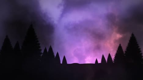 thunder and conifer forest at night