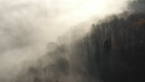 Drone-aerial-view-of-foggy-morning