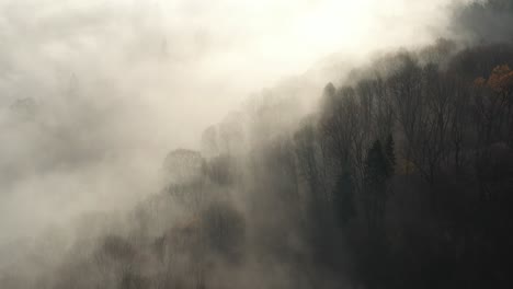 drone aerial view of foggy morning