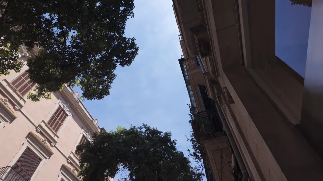 Looking Up at Buildings and Trees Against a Blue Sky