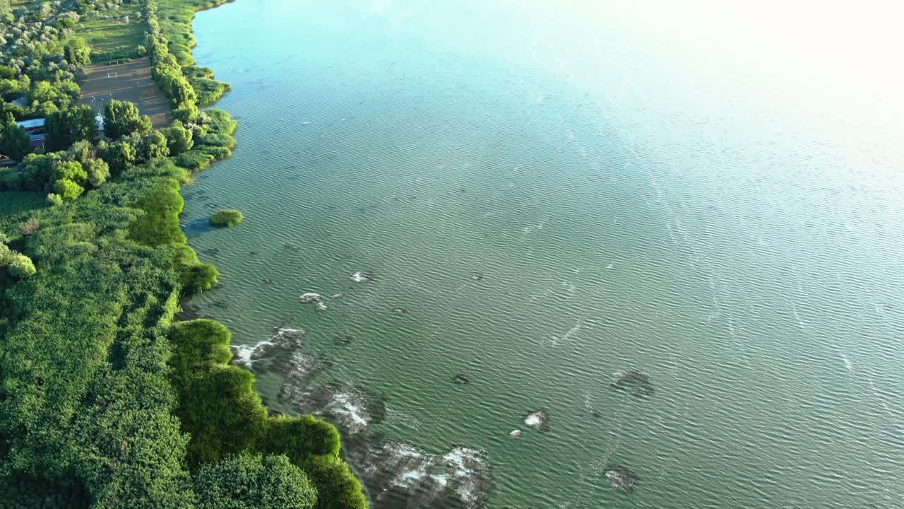 Emerald Green Lake With Vegetated Shoreline. Aerial Drone