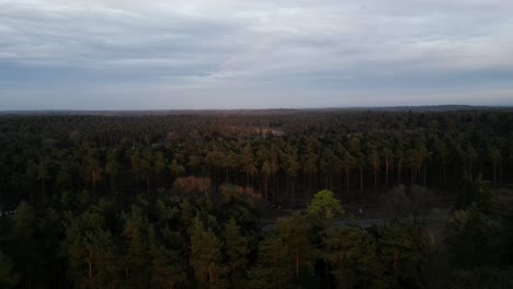 Unveiling-Nature's-Mirrors:-Aerial-View-of-Forest-Ponds