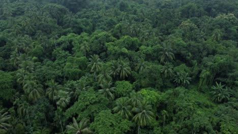 in the rainy season, eastern india receives heavy rainfall during the rainy season