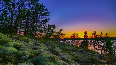 Sun-setting-in-timelapse-over-clear-blue-sky-visible-from-the-bank-of-a-lake-during-evening-time