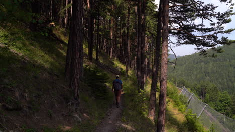 Rückseite-Des-Männlichen-Wanderers,-Der-Auf-Wanderweg-Mit-Sicherheitsnetzen-Geht