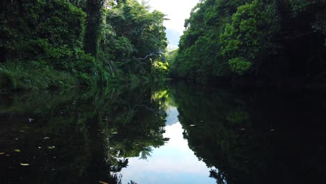 Reflejo-Del-Cielo-Y-Los-árboles-En-Un-Arroyo-De-Movimiento-Lento