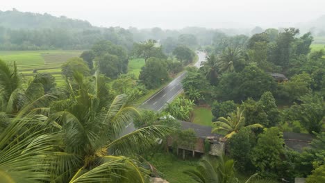 aerial forward view over tropical landscape with a road running through it