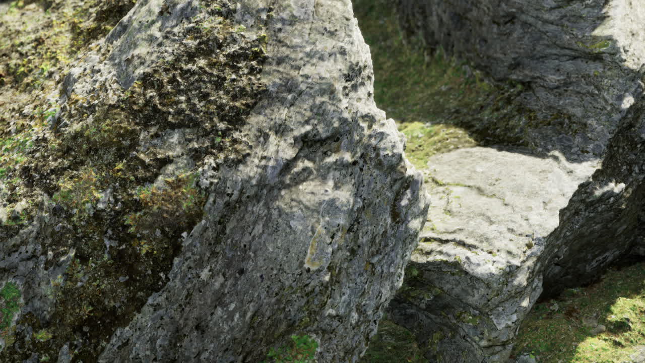 Mossy stones basking in soft sunlight in a serene setting