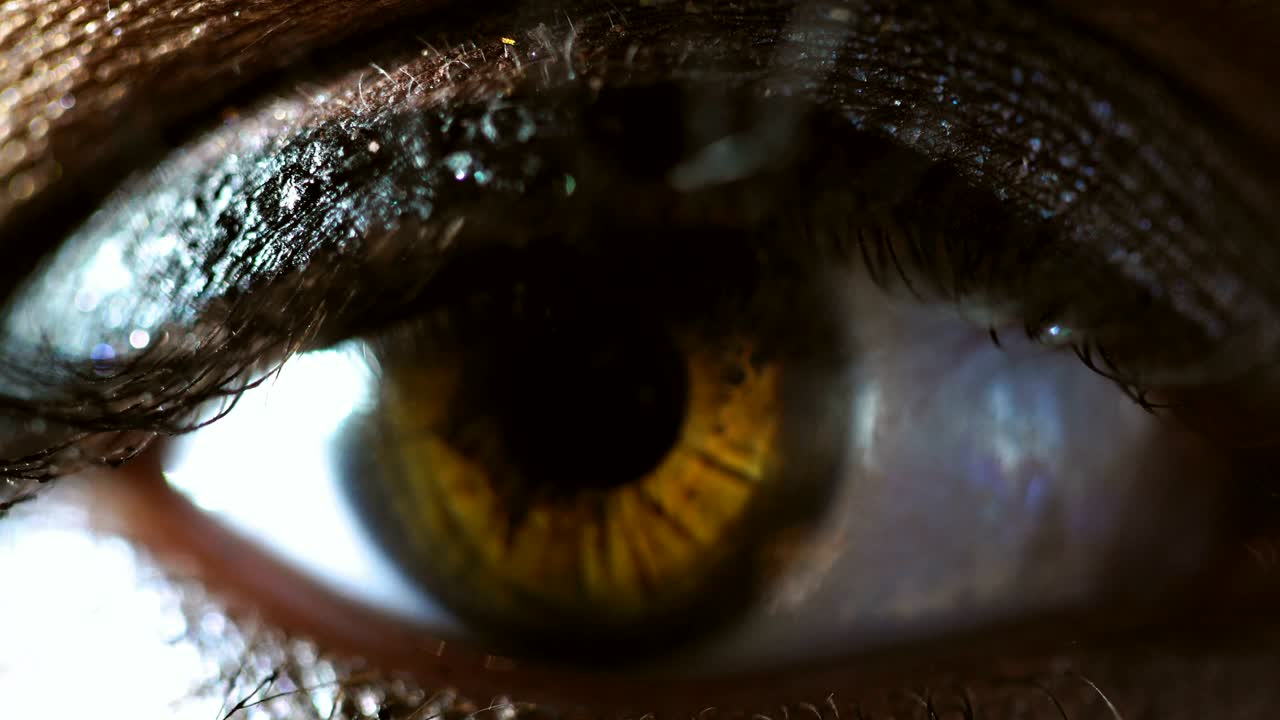 젊은 여성의 아름다운 갈색 눈