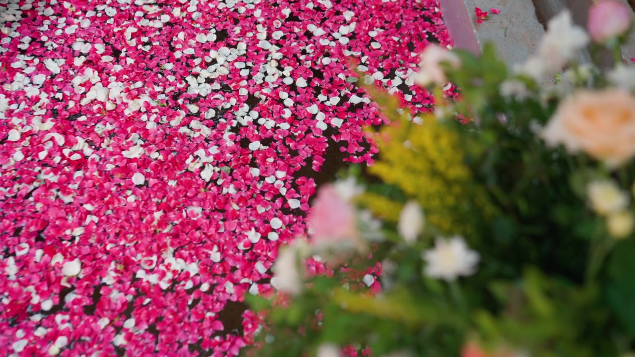 Pink and white flower petals float on water beside floral arrangement at outdoor event