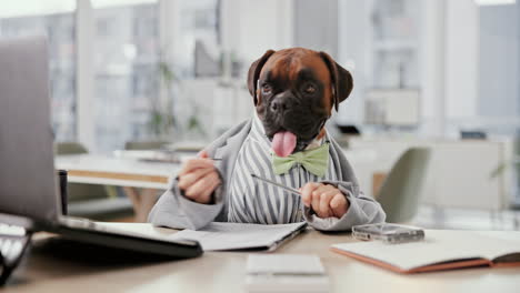 dog in a suit working at a desk