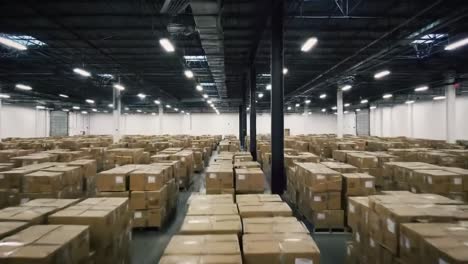 a vast warehouse filled with stacked cardboard boxes, rows of pallets, and a well-organized storage environment showcasing efficient inventory management