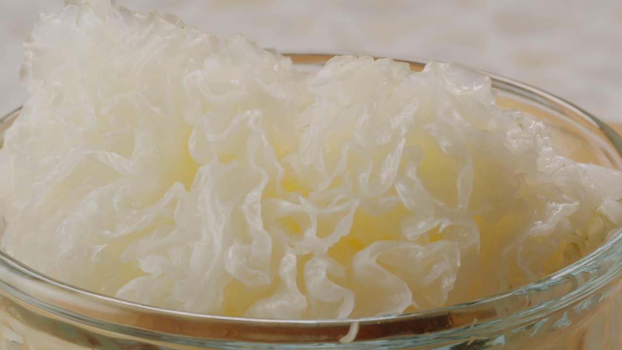 Tremella fermented salted Jamur salju or snow fungus, white colored fungi for food and medicine, popular in China and also Chinese cuisine.