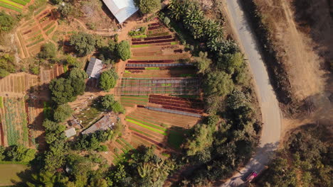 aerial view of a farm with various vegetable plots