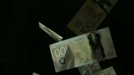 falling flying american canadian dollar banknotes on a black background in 4k loopable. high quality falling dollar banknotes in 4k. video is loopable