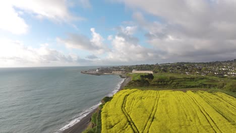 impresionante amanecer sobre el campo violado en greystones05 - 4k imágenes cinematográficas de drones - wicklow - irlanda