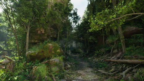 a narrow path winds through a lush, dense jungle