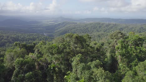 paisaje verde de bosques y montañas en port douglas, extremo norte de queensland, australia - toma aérea de drones