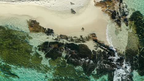 perfecta playa de arena blanca desde arriba con suaves olas, isla tropical, antena