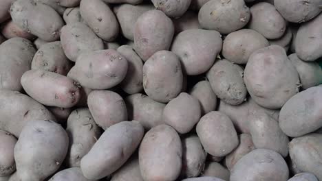 sweet potato at vegetable store for sale