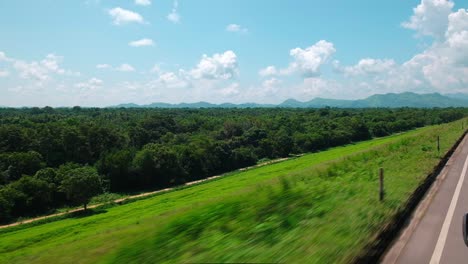 green forests of the udawalawe national park in sri lanka