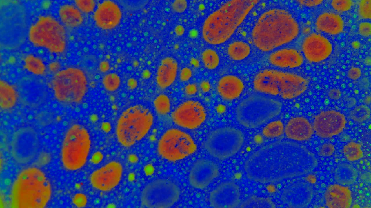 el rizado de las pinturas