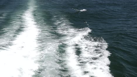 tilt shot from the engins of a catamaran up to the horizon line of the ocean