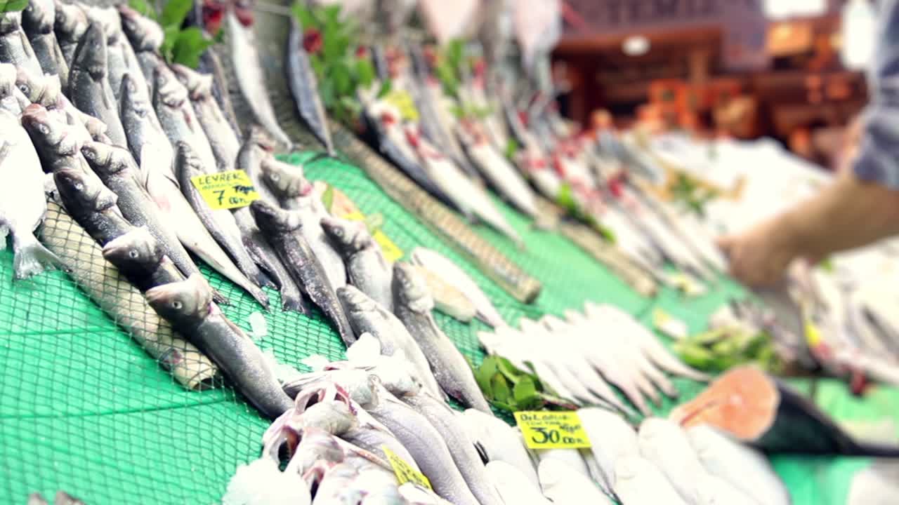 거리에서 팔리는 물고기 1