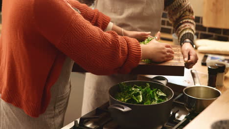 couple cooking together in the kitchen