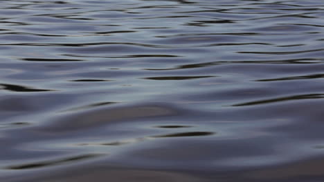 a fast moving shot along the surface of the ocean or a body of water